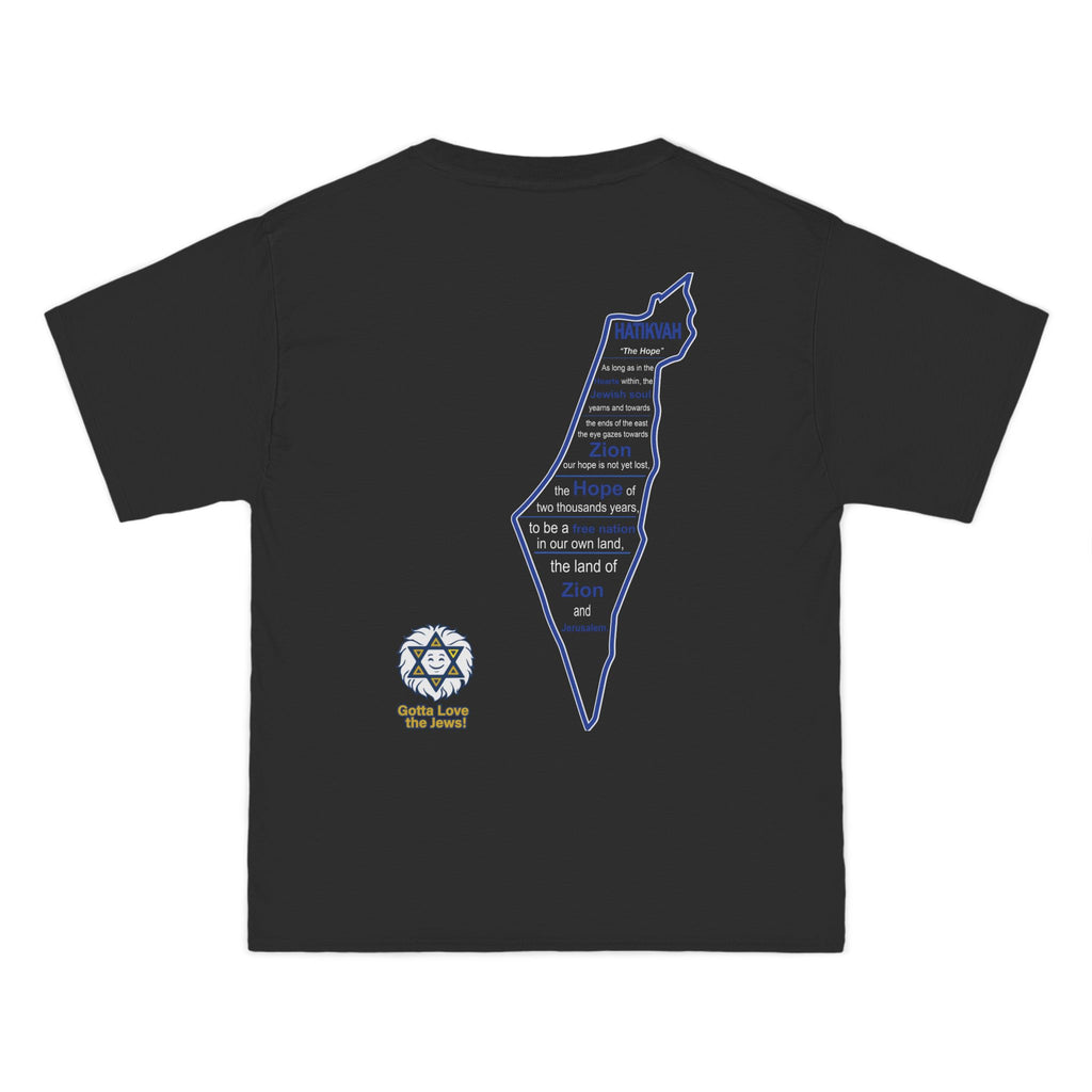 Iron Swords T-Shirt